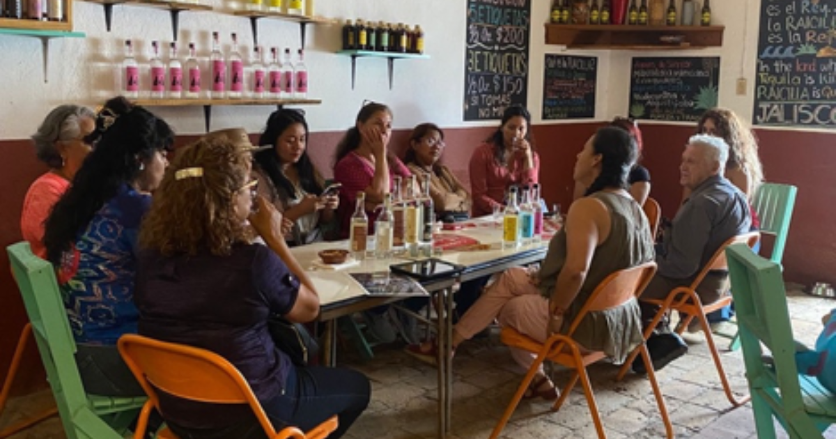 Guided raicilla tasting